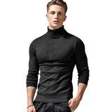 THEMEISLES 2025 New men's clothing autumn and winter turtleneck bottoming shirt Popular trade men's short-sleeved long-sleeved t-shirt  men's tops
