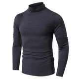 THEMEISLES 2025 New men's clothing autumn and winter turtleneck bottoming shirt Popular trade men's short-sleeved long-sleeved t-shirt  men's tops