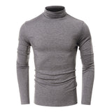 THEMEISLES 2025 New men's clothing autumn and winter turtleneck bottoming shirt Popular trade men's short-sleeved long-sleeved t-shirt  men's tops