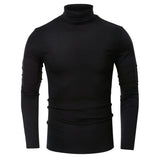 THEMEISLES 2025 New men's clothing autumn and winter turtleneck bottoming shirt Popular trade men's short-sleeved long-sleeved t-shirt  men's tops