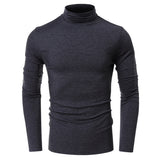 THEMEISLES 2025 New men's clothing autumn and winter turtleneck bottoming shirt Popular trade men's short-sleeved long-sleeved t-shirt  men's tops