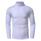 THEMEISLES 2025 New men's clothing autumn and winter turtleneck bottoming shirt Popular trade men's short-sleeved long-sleeved t-shirt  men's tops