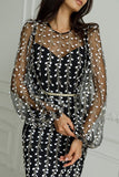 themeisles Celebrities Elegant Solid Embroidered See-through O Neck Bandage Dress Dresses