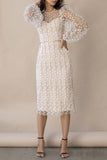 themeisles Celebrities Elegant Solid Embroidered See-through O Neck Bandage Dress Dresses