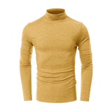 THEMEISLES 2025 New men's clothing autumn and winter turtleneck bottoming shirt Popular trade men's short-sleeved long-sleeved t-shirt  men's tops