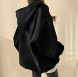 THEMEISLES 5 colors, trendy brand pullover zipper hooded sweater women's ins long Korean loose spring, autumn and winter velvet Korean version thin