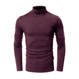 THEMEISLES 2025 New men's clothing autumn and winter turtleneck bottoming shirt Popular trade men's short-sleeved long-sleeved t-shirt  men's tops