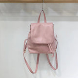THEMEISLES Xiaohongshu Same Style Texture Small Retro American Brown Backpack New Ins Simple All-Match Shoulder Bag