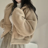 THEMEISLES Korean version of Popular trade lamb wool coat women's autumn and winter fleece thickened lamb wool sweater cardigan top  new