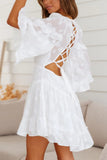 themeisles Chiffon Ruffle Mini Dress