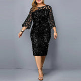 themeisles Individualized Sequin Design Plus Size Women's Dress