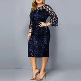 themeisles Individualized Sequin Design Plus Size Women's Dress
