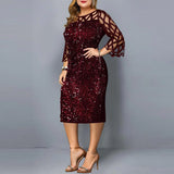 themeisles Individualized Sequin Design Plus Size Women's Dress