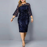 themeisles Individualized Sequin Design Plus Size Women's Dress