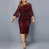 themeisles Individualized Sequin Design Plus Size Women's Dress