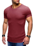 themeisles Summer Men's Sports and Fitness Short-sleeved T-shirt Vertical Striped Solid Color Collarless Men's Slim V-neck Tops Ice Silk Bodysuit
