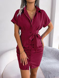 themeisles Solid Color Pleated Bandage Short Sleeves Lapel Mini Dresses